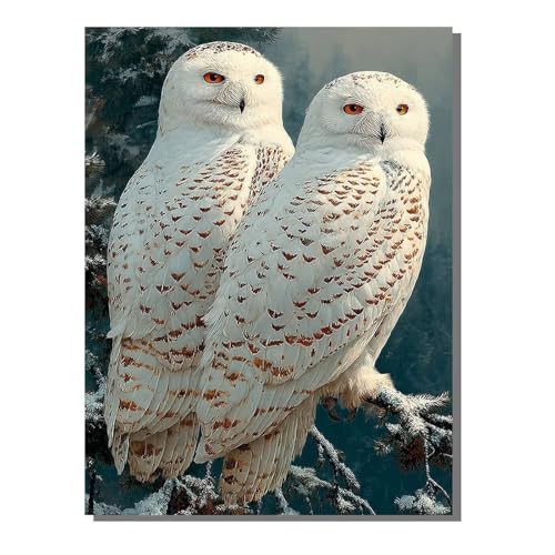 Diamond Painting Set Eule Diamant Painting Bilder Erwachsene Groß DlY Art Kinder Full Drill Diamond Malerei Vogel 5D Diamant Kunst Malerei Stickerei Mosaic Bastelset Home Decor 60x80 cm BJHF400 Diamond Painting Set Eule Diamant Painting Bilder Erwachsene Groß DlY Art Kinder Full Drill Diamond Malerei Vogel 5D Diamant Kunst Malerei Stickerei Mosaic Bastelset Home Decor 60x80 cm BJHF400 von BEIJUYHU