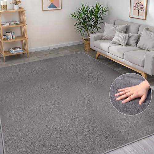 BEIMO Waschbarer Teppich Wohnzimmer Kurzflor Anti-Rutsch Unterseite Uni Modern Design Teppich Weich rutschfest für Esszimmer, Kinderzimmer und Schlafzimmer, Grau 80X150CM von BEIMO