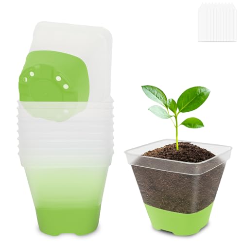 BEIUEN Pack of 10 8 cm Anzuchttöpfe Transparent with Silicone Base. Reusable Plastic Square Plant Pots,Transparent Plant Pots for Succulents, Seedlings von BEIUEN