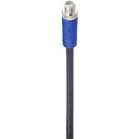 Belden 934851077-1 Sensor-/Aktor-Anschlussleitung M12 Stecker, gerade 10.00m Polzahl: 5 1St. von BELDEN