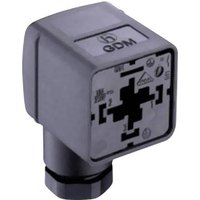 Belden Ventilstecker GDM21F6-V2Y Transparent GDM21F6-V2Y Pole:2 + PE 934888036 Inhalt: 50St. von BELDEN