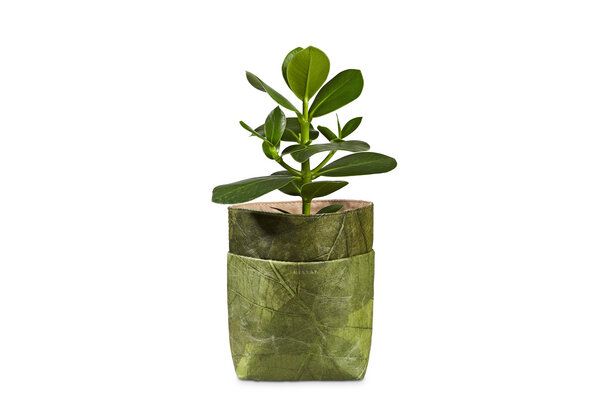 BELEAF Veganer Pflanztopf "POD LEAF" aus Blattleder von BELEAF