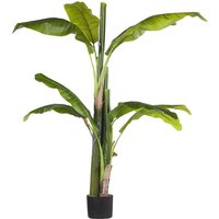 Beliani - Kunstpflanze Grün und Schwarz Kunststoff 154 cm Bananenbaum Dekoration Wohnzimmer Indoor - Schwarz von BELIANI