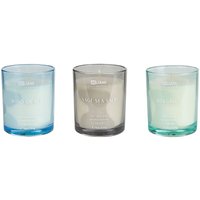 Duftkerze 3er Set Mehrfarbig Sojawachs mit Baumwolldocht im Glas Duftnoten: Meeresbrise Salbei und Meersalz Bergamotte Geschenkset von BELIANI