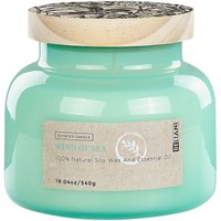 Duftkerze Blaugrün Sojawachs und Ätherisches Öl mit Baumwolldocht im Glas mit Deckel Vogelmotiv Duftnote: Meeresbrise Geschenkidee Dekoidee Duftkerze Blaugrün Sojawachs und Ätherisches Öl mit Baumwolldocht im Glas mit Deckel Vogelmotiv Duftnote: Meeresbrise Geschenkidee Dekoidee von BELIANI