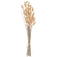 Beliani - Trockenblumen Naturfarben 58 cm Samtgras Hasenschwanzgras Bunny Tail Getrockneter Blumenstrauß Getrocknete Blumen Dekoration - Braun von BELIANI