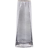 Blumenvase Grau Glas 27 cm Hohe Form mit Goldrand Breiter Öffnung Modern Tischdeko Wohnaccessoires Deko Glasvase für Wohnzimmer Esstisch Flur - Grau von BELIANI