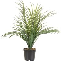 Kunstpflanze ARECA PALM 45 cm Grün von BELIANI
