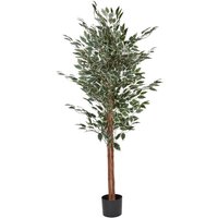 Kunstpflanze FICUS 167 cm Grün von BELIANI