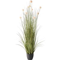 Kunstpflanze POMPOM GRASS 120 cm Grün von BELIANI