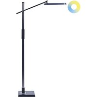 LED-Stehlampe Dunkelgrau Metall und Kunststoff 144 cm Dimmbar cct Verstellbarer Arm und Schrim Modern Bogenlampe Beleuchtung Heim Büro von BELIANI