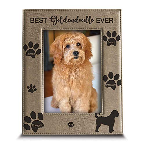 BELLA BUSTA - Best Goldendoodle Ever-Dog Fotorahmen, Hunde-Liebhaber, Geschenk, gravierter Leder-Bilderrahmen (12,7 x 17,8 cm) von BELLA BUSTA