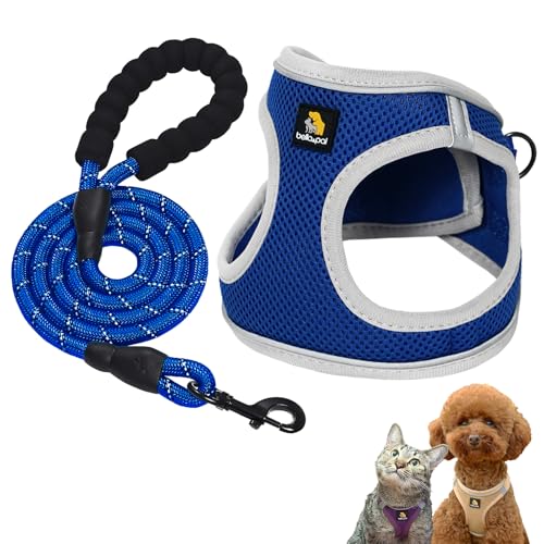 BELLA & PAL Hundegeschirr Kleine Hunde mit Nylonseil Leine, Step-in Geschirr aus Air Mesh, Anti Zug Reflektierend Atmungsaktiv Brustgeschirr, Welpengeschirr für Kleine Hunde, Katzengeschirr, L von BELLA & PAL