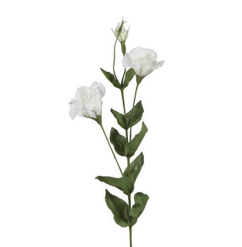 BELLAFIORA 01AMAZ022514 Künstliche Blumen, Lisanthus, 2 Blüten, 80 cm, Weiß von BELLAFIORA