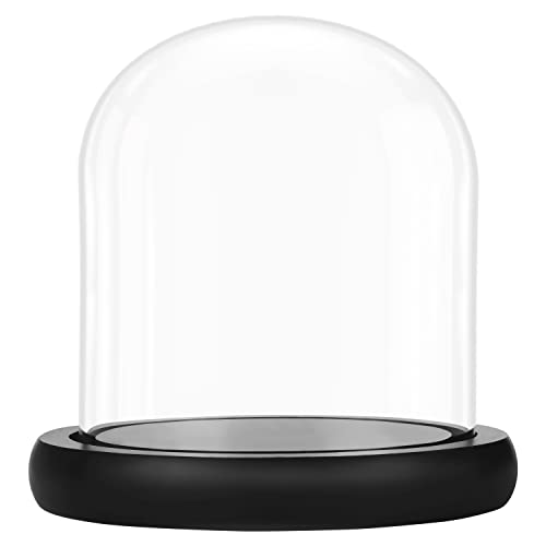 BELLE VOUS 10 cm Glasglocke Deko mit Schwarzem Holzsockel - Klare Dekorative Glocke aus Glas mit Tablett für Lichterketten, Tafelschmuck und Antiquitäten von BELLE VOUS