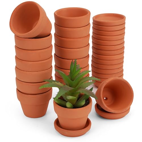 BELLE VOUS 16er Pack Blumentöpfe aus Terrakotta - Ø 5cm unglasierte Tontopf Pflanzentöpfe mit Untersetzer - Terrakotta Blumen Topf Set - 16er Set Töpfe aus Terrakotta von BELLE VOUS
