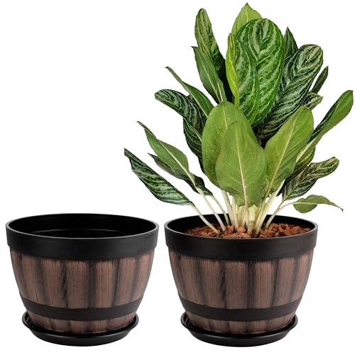 BELLE VOUS 2er Pack Blumentöpfe aus Kunststoff - Indoor und Outdoor Pflanzentopf Set Ø 22,5cm - Pflanztopf Set mit Entwässerungslöchern & Untertassen - Plant Pot Holz-Look von BELLE VOUS