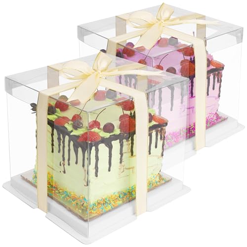BELLE VOUS 2x transparente Kuchen Geschenke Transportbox 6 inch - 21x21x20cm - Geschenkbox Set durchsichtig mit Deckel - wiederverwendbare Geschenkbox transparent- Cake Boxes - Presentbox BELLE VOUS 2x transparente Kuchen Geschenke Transportbox 6 inch - 21x21x20cm - Geschenkbox Set durchsichtig mit Deckel - wiederverwendbare Geschenkbox transparent- Cake Boxes - Presentbox von BELLE VOUS