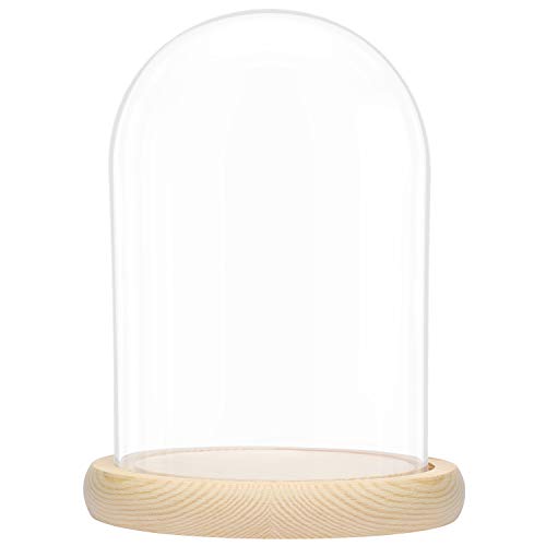 BELLE VOUS Glas Glocke Glaskuppel Groß mit Holzboden – 20cm Dekorative Glashaube als Tischdeko, Deko Glas Kuppel Transparent Glasglocke, Glass Dome Cloche mit Boden für Lichter, Deko, Wohnaccessoire von BELLE VOUS