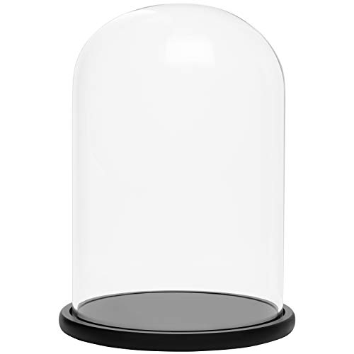 BELLE VOUS Glas Glocke Glaskuppel Groß mit Holzboden Schwarz – 30cm Dekorative Glashaube als Tischdeko, Deko Glas Kuppel Transparent Glasglocke, Glass Dome Cloche mit Boden für Lichter, Deko von BELLE VOUS
