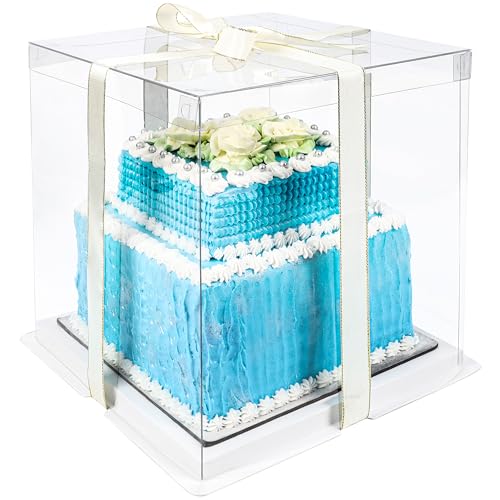 BELLE VOUS transparente Kuchen Geschenke Transportbox - 26 x 26 x 28cm - Geschenkbox Set durchsichtig mit Deckel - wiederverwendbare Geschenkbox transparent- Cake Box -Presentbox BELLE VOUS transparente Kuchen Geschenke Transportbox - 26 x 26 x 28cm - Geschenkbox Set durchsichtig mit Deckel - wiederverwendbare Geschenkbox transparent- Cake Box -Presentbox von BELLE VOUS