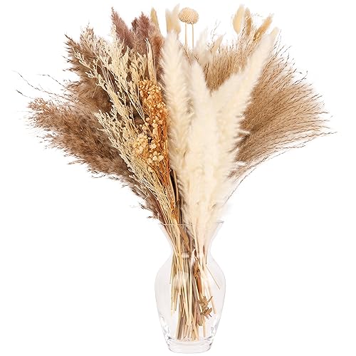 Belle Vous 104 STK Weiße Natürliche Getrocknete Pampasgras Deko - 35-46 cm Lange Stiele - Sortierte Boho Deko mit Pampasgras, Schilfen & Hasenschwänzen - Trockenblumen Deko für Vase, Hochzeit & Party von BELLE VOUS