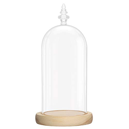 Belle Vous Glas Glocke Glaskuppel Groß mit Holzboden – 26,5cm Dekorative Glashaube Als Tischdeko, Deko Glas Kuppel Transparent Glasglocke, Glass Dome Cloche mit Boden für Lichter, Deko, Wohnaccessoire von BELLE VOUS