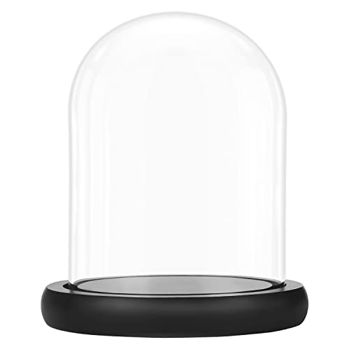 Belle Vous Glasglocke Deko mit Schwarzem Holzsockel - 19,5 cm Hoch - Klare Dekorative Glocke aus Glas mit Tablett für Lichterketten, Tafelschmuck und Antiquitäten von BELLE VOUS
