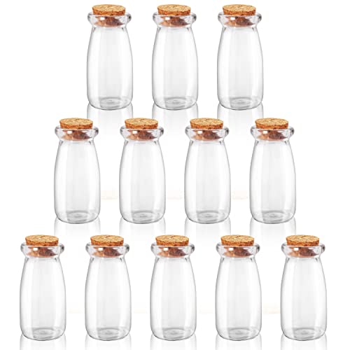 BELLE VOUS 12er Pack Mini Glasflaschen mit Korken - 100ml - Kleine Phiolen zum Befüllen Luftdichte Flaschen mit Korken für Hochzeitsgeschenke, Party, Küchengewürze und Marmelade von BELLE VOUS