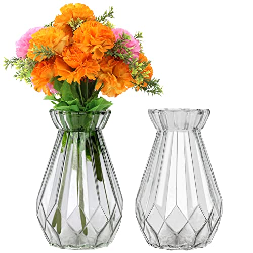 Belle Vous Vase Durchsichtig Kristallvase Vase Glas (2 STK) – 15cm Blumenvase Modern Zylinder Vase Glas Rund, Vase Bauchig Set als Dekoration für Zuhause, Tischdeko, Büro von BELLE VOUS