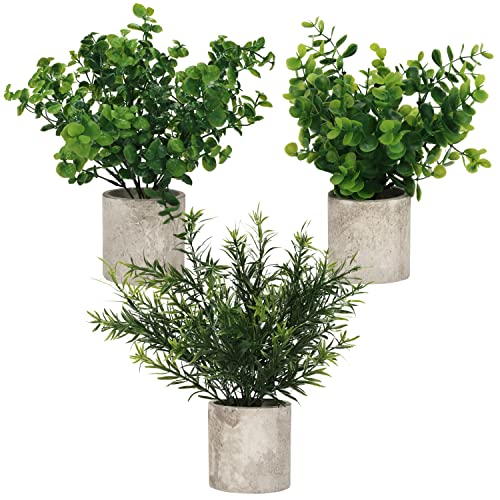 BELLE VOUS Mini Künstliche Pflanzen Eukalyptus in Töpfen (3 STK.) - Kleine Pflanzen Künstlich in Töpfen - Schreibtisch Deko Pflanzen für Büro, Schreibtisch, Haus, Küche, Garten, Tisch und Badezimmer von BELLE VOUS