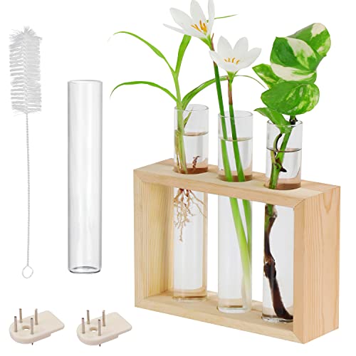 BELLE VOUS Hängende Glas Reagenzgläser für Blumen - 4 Kleine Vasen Set (1 Ersatz) mit Holzständer - Reagenzglas Vase für Pflanzen, Pflanzenvermehrung, Hydrokultur & Deko für Tisch oder zum Aufhängen von BELLE VOUS