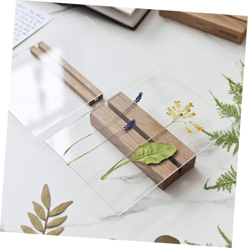 BELLIFFY 10 Stück Teiliges Transparente Kunststoffplatten für Bastelprojekte Bruchsichere Zuschneidbare Pvc fensterfolien als Ersatz für Bilderrahmen und Kreative DIY anwendungen BELLIFFY 10 Stück Teiliges Transparente Kunststoffplatten für Bastelprojekte Bruchsichere Zuschneidbare Pvc fensterfolien als Ersatz für Bilderrahmen und Kreative DIY anwendungen von BELLIFFY
