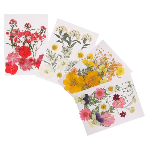 BELLIFFY 4taschen Echten Getrockneten Blumen Für -Dekorationen Für Bastelarbeiten Schmuckherstellung Handyhüllen Und Mehr Handwerksmaterialien Für Kreative Projekte BELLIFFY 4taschen Echten Getrockneten Blumen Für -Dekorationen Für Bastelarbeiten Schmuckherstellung Handyhüllen Und Mehr Handwerksmaterialien Für Kreative Projekte von BELLIFFY