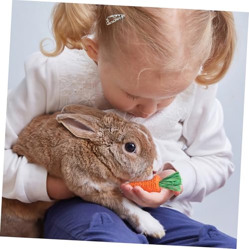 BELLIFFY 6 Stück Teiliges Handgewebtes Karotten kauspielzeug für Kaninchen und Kleintiere Natürliches Sicheres Zahnpflege Zahnreinigung und Beschäftigung von Hasen Meerschweinchen Hamstern von BELLIFFY
