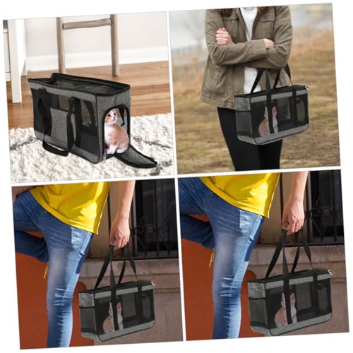 BELLIFFY Atmungsaktive Faltbare Tragetasche für Katzen und Kleine Haustiere Leichte Pet Carrier Tasche mit Verstellbaren Tragegurten Platzsparend und Einfach zu Reinigen für Reisen und BELLIFFY Atmungsaktive Faltbare Tragetasche für Katzen und Kleine Haustiere Leichte Pet Carrier Tasche mit Verstellbaren Tragegurten Platzsparend und Einfach zu Reinigen für Reisen und von BELLIFFY