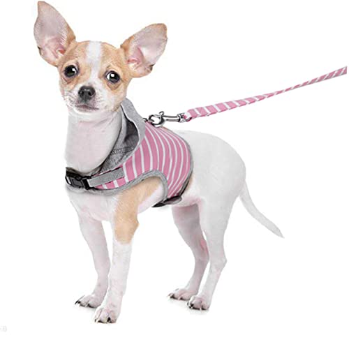 BELLIFFY Atmungsaktives Katzenweste Geschirr Leine kein Ziehen Verstellbar Sicherer Brustgurt für Tägliches Spazieren Joggen Training Komfortabel Leicht und Ausbruchsicher S BELLIFFY Atmungsaktives Katzenweste Geschirr Leine kein Ziehen Verstellbar Sicherer Brustgurt für Tägliches Spazieren Joggen Training Komfortabel Leicht und Ausbruchsicher S von BELLIFFY