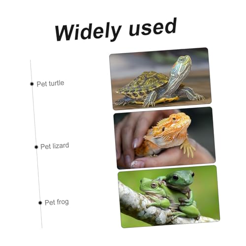 BELLIFFY Automatischer Wasserspender für Reptilien Vielseitige Trinkschale für Schildkröten Echsen Frösche Installieren für Innen Außenbereich Geeignet BELLIFFY Automatischer Wasserspender für Reptilien Vielseitige Trinkschale für Schildkröten Echsen Frösche Installieren für Innen Außenbereich Geeignet von BELLIFFY