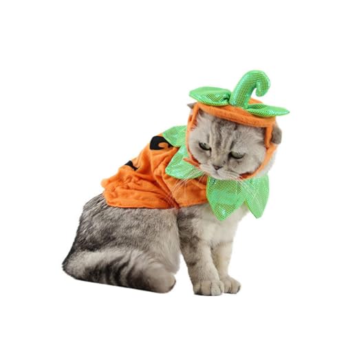 BELLIFFY Halloween Kostüm für Haustiere Kürbisform Design Verstellbar Komfortabler Polyester Stoff Katzen und Hunde Party Kleidung für Halloween und Karneval Orange BELLIFFY Halloween Kostüm für Haustiere Kürbisform Design Verstellbar Komfortabler Polyester Stoff Katzen und Hunde Party Kleidung für Halloween und Karneval Orange von BELLIFFY