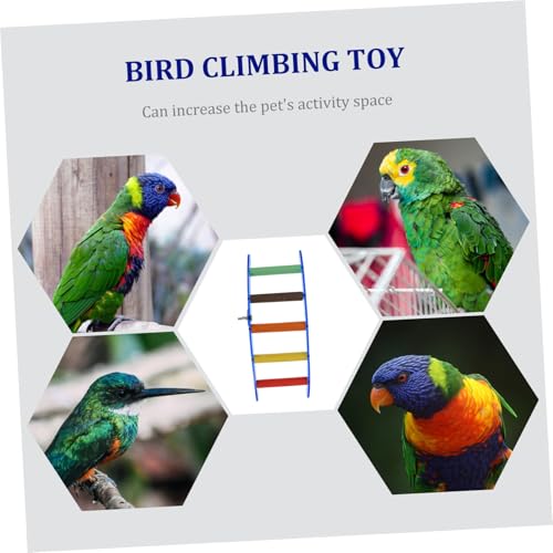 BELLIFFY Papageien Kletterleiter aus Acryl Stabiles Vogelspielzeug für Wellensittich Nymphensittich Kleine Papageien Langlebige Steh Kletterhilfe Sicheres Kauspielzeug für Vogelkäfig BELLIFFY Papageien Kletterleiter aus Acryl Stabiles Vogelspielzeug für Wellensittich Nymphensittich Kleine Papageien Langlebige Steh Kletterhilfe Sicheres Kauspielzeug für Vogelkäfig von BELLIFFY
