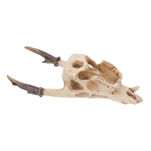 BELLIFFY Reptilien Versteck Höhle Resin Schädel Terrarium Dekoration Mittelgroßer Muntjak Schädel Für Echsen Wasserschildkröten Sicheres Versteck Zubehör BELLIFFY Reptilien Versteck Höhle Resin Schädel Terrarium Dekoration Mittelgroßer Muntjak Schädel Für Echsen Wasserschildkröten Sicheres Versteck Zubehör von BELLIFFY