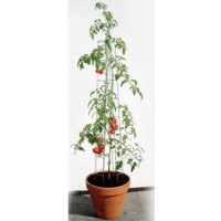 Tomatenturm 120 cm hoch Spalier Rankhilfe Rankgitter - Bellissa von BELLISSA