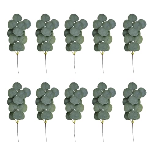 BELOWSYALER Künstliche Eukalyptus-Stiele, Hochzeitssträuße, Blumenzweige, Arrangements für Heimdekoration, 10 Stück BELOWSYALER Künstliche Eukalyptus-Stiele, Hochzeitssträuße, Blumenzweige, Arrangements für Heimdekoration, 10 Stück von BELOWSYALER
