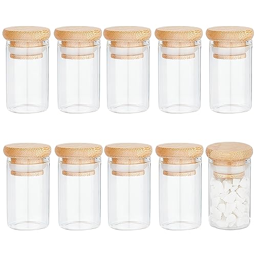BENECREAT 10 Stück Transparente Glasflasche Mit Holzschraubendeckel, 20 ml Transparente Mini-Glasflaschen Für Kosmetischen Süßigkeitentee Und Andere Kleine Gegenstände von BENECREAT