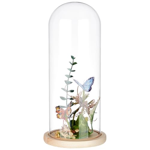 BENECREAT 11.7x30cm Ewige transparente Blumenglasabdeckung, Glaskuppel-Glockenglas mit Sockel aus blanchiertem Mandelmassivholz für DIY-Blumenhandwerk von BENECREAT
