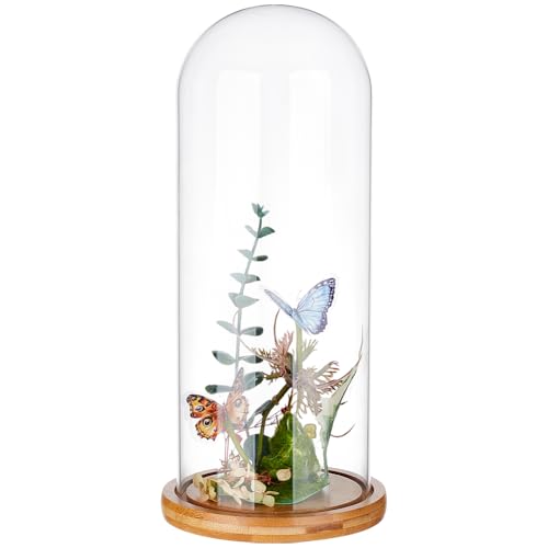 BENECREAT 11.7x30cm Ewige transparente Blumenglasabdeckung, Glaskuppel-Glockenglas mit sandbrauner Massivholzbasis für DIY-Blumenhandwerk von BENECREAT