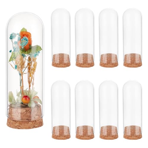 BENECREAT 12 Stück Glas Displaykuppel Mit Korkboden 3.7x10cm Glasflaschengläser Cloche Glockenglas Für Blumenpflanzen Proben Kunsthandwerk BENECREAT 12 Stück Glas Displaykuppel Mit Korkboden 3.7x10cm Glasflaschengläser Cloche Glockenglas Für Blumenpflanzen Proben Kunsthandwerk von BENECREAT