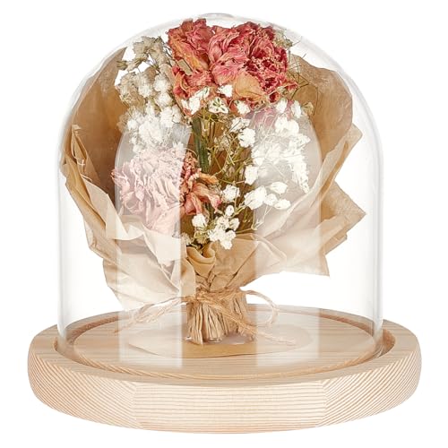 BENECREAT 12x12 cm Blanchierte Mandelglaskuppel Cloche Holzdisplaykuppel, Klare Glasglocke Zum Basteln von Blumen, Weihnachtsschmuck von BENECREAT