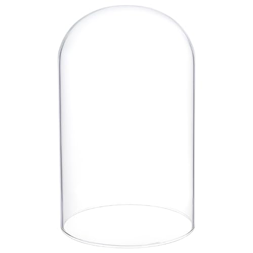 BENECREAT 15.2x24.8cm klare Glasabdeckung, Cloche-Kuppelglas-Kuppelabdeckung, dekorative Ausstellungsabdeckung für Pflanzen, Lichterketten oder Tischdekoration BENECREAT 15.2x24.8cm klare Glasabdeckung, Cloche-Kuppelglas-Kuppelabdeckung, dekorative Ausstellungsabdeckung für Pflanzen, Lichterketten oder Tischdekoration von BENECREAT