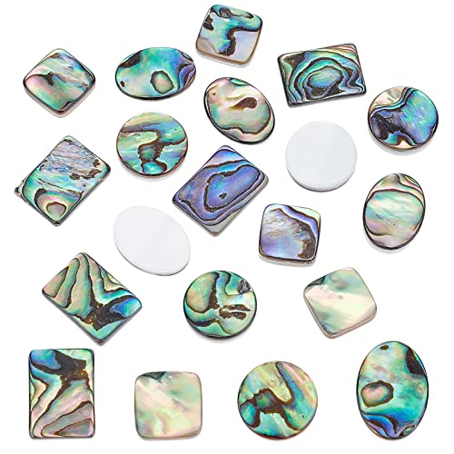 BENECREAT 16 Stück 4 Stil Natürliche Abalone Muschelperlen, Runde, Ovale, Quadratische Paua-Muschel-Perlen für Die Schmuckherstellung, zum Basteln, Perlenverzierungen von BENECREAT